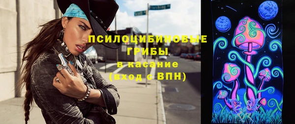 прущая мука Абаза