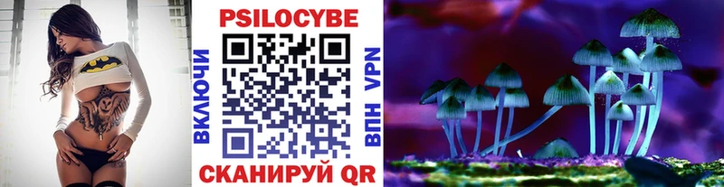 Галлюциногенные грибы Psilocybine cubensis  продажа наркотиков  Анадырь 